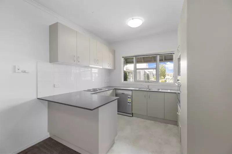 Blank Canvas – Endless Potential!