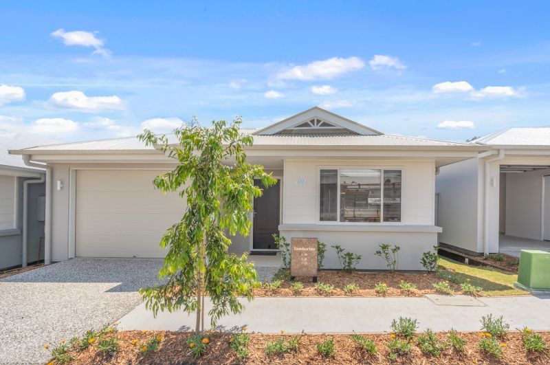 Introducing the Tamborine