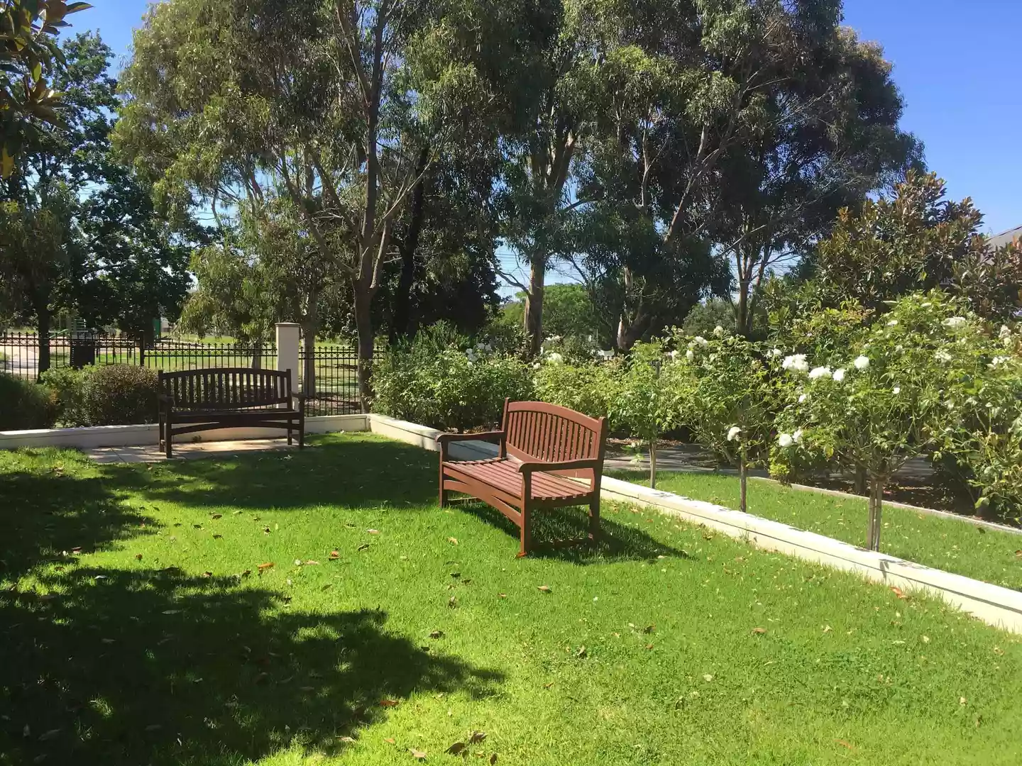 Saffron Grove Retirement Village - Available Now - Beautiful 3 Bedroom Villa