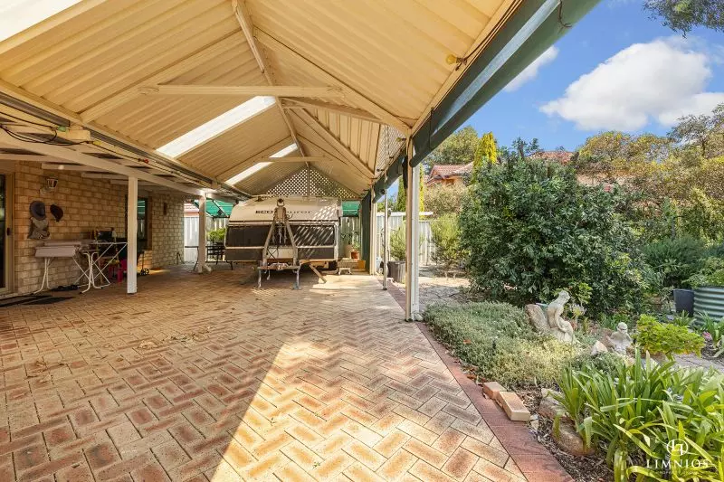 Explore your options!