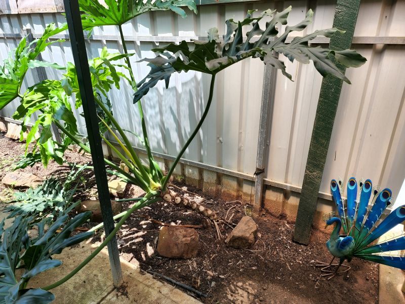 Low Maintenance Living with a Low Price - PRICE REDUCTION ACT NOW!