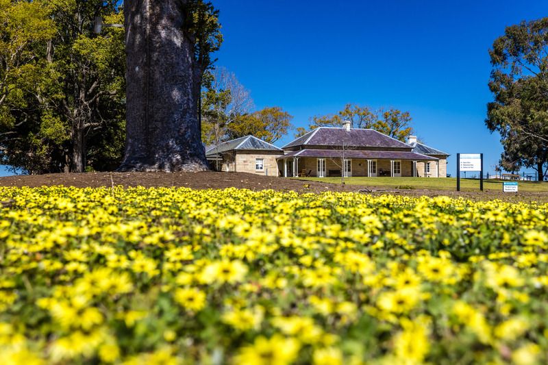 North-Facing Villa with Alfresco