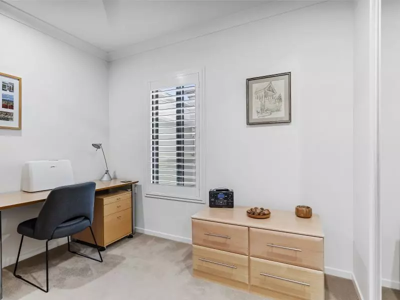 Site 28 - Established Sequoia