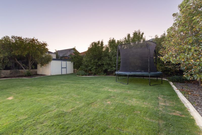 Backyard Bliss!