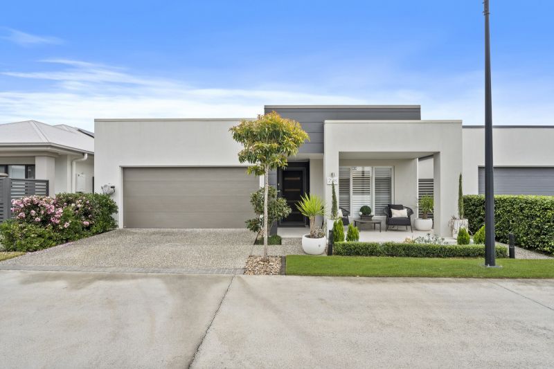 Site 238 - Established Macan