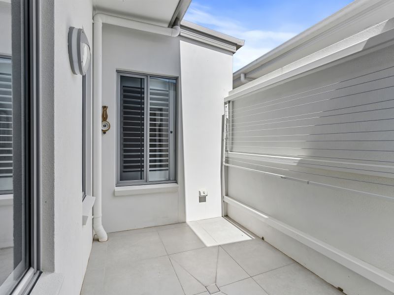 Site 28 - Established Sequoia