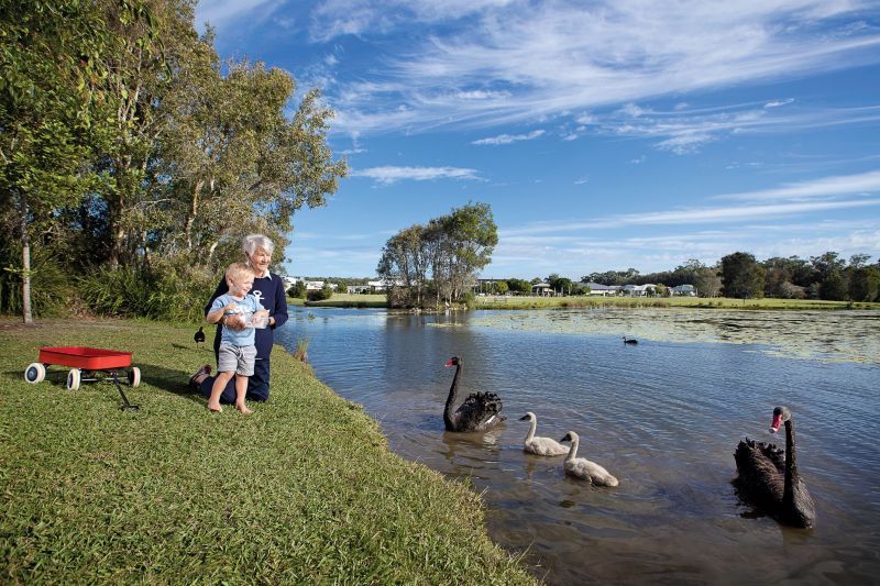 Site 127 - Established Sumarez