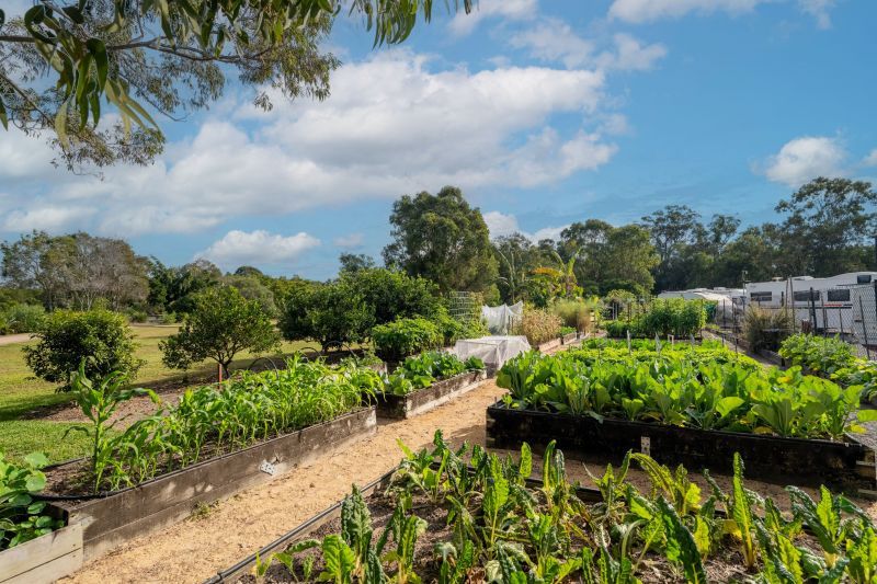 Site 47 - Established Ningaloo