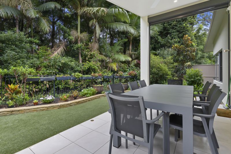 Stunning Rainforest Outlook