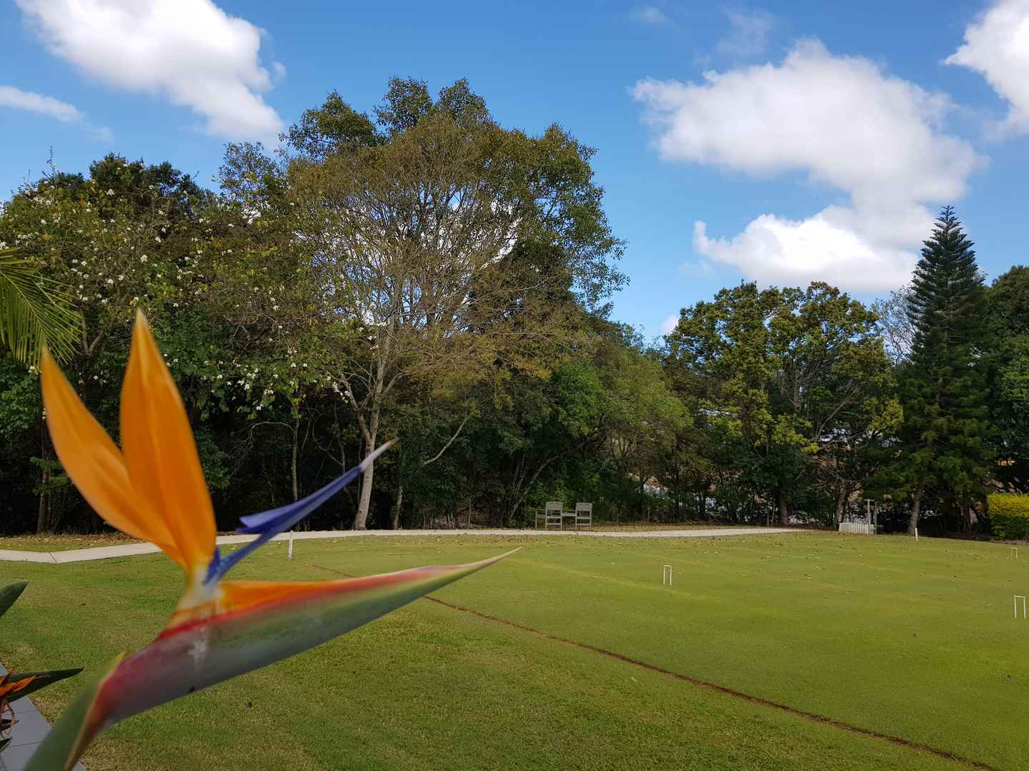 Peaceful retirement living overlooking lush lawns