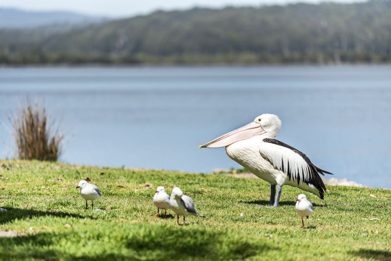 Lakeside Living with Stunning Water Views