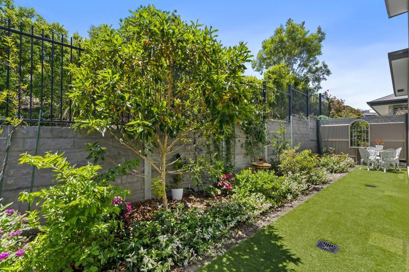 Site 230 - Established Peregrine