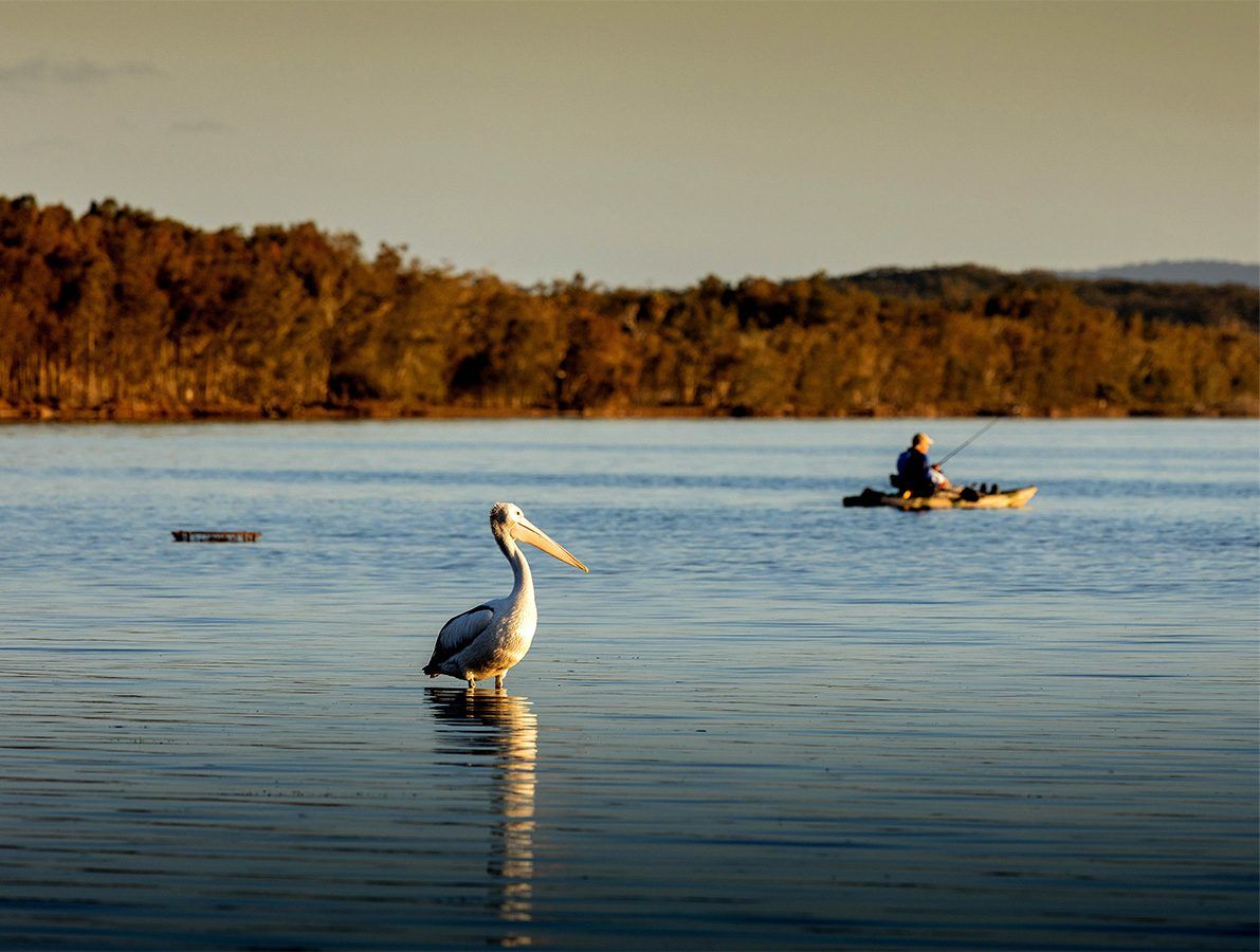 Lakeside Forster Village - The Tide