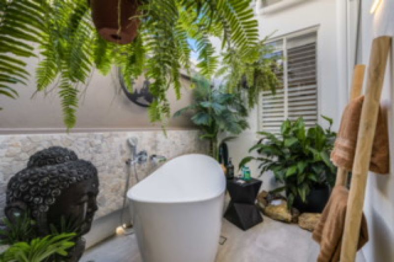 Site 262 - Established Sequoia