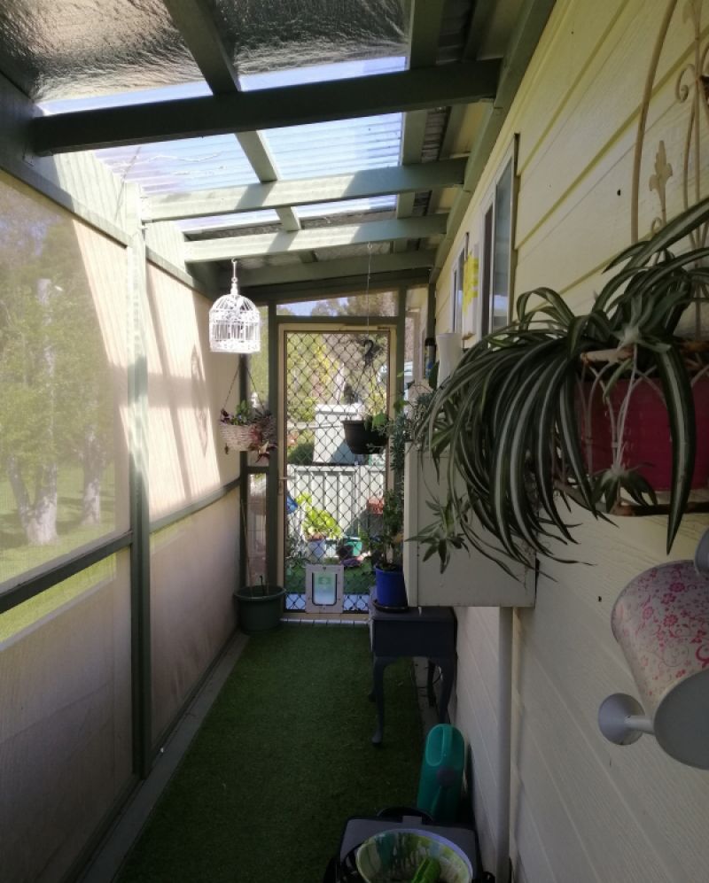 Acacia Ponds site #5