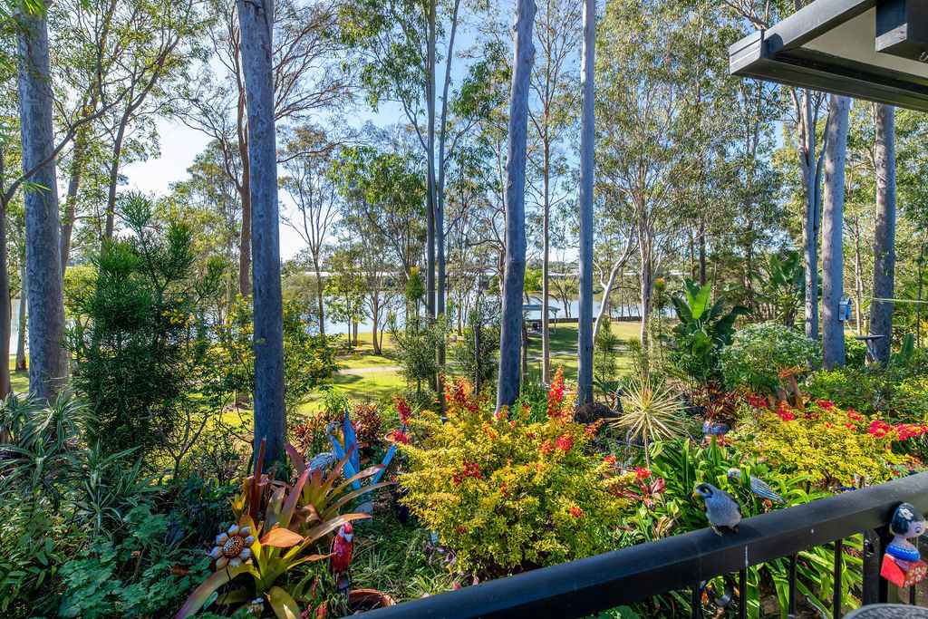 Rare find on the lake at Palm Lake Resort Bethania