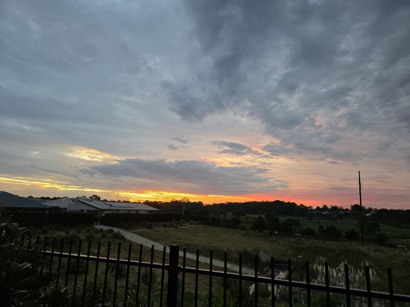 Site 176 - Established Kalbar