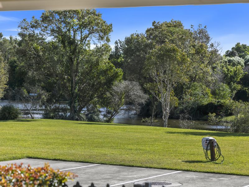 Site 127 - Established Sumarez