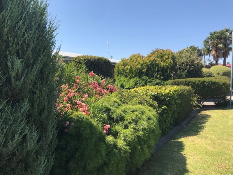 Peninsula Parklands - Site 126