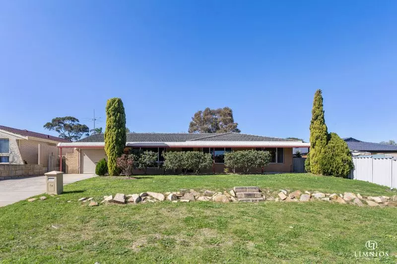 Whisper Quiet and Super Convenient!