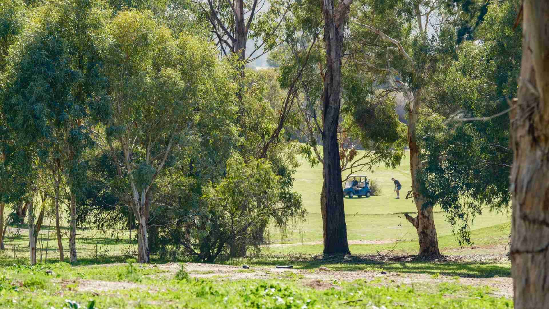 Aspen Lifestyle Sierra