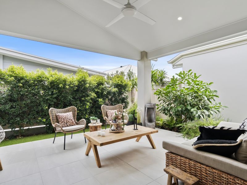 Site 299 - Established Sequoia