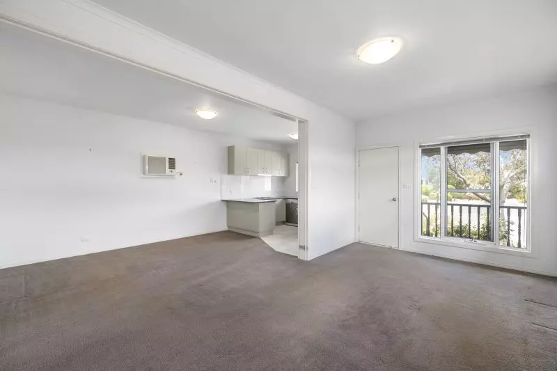 Blank Canvas – Endless Potential!