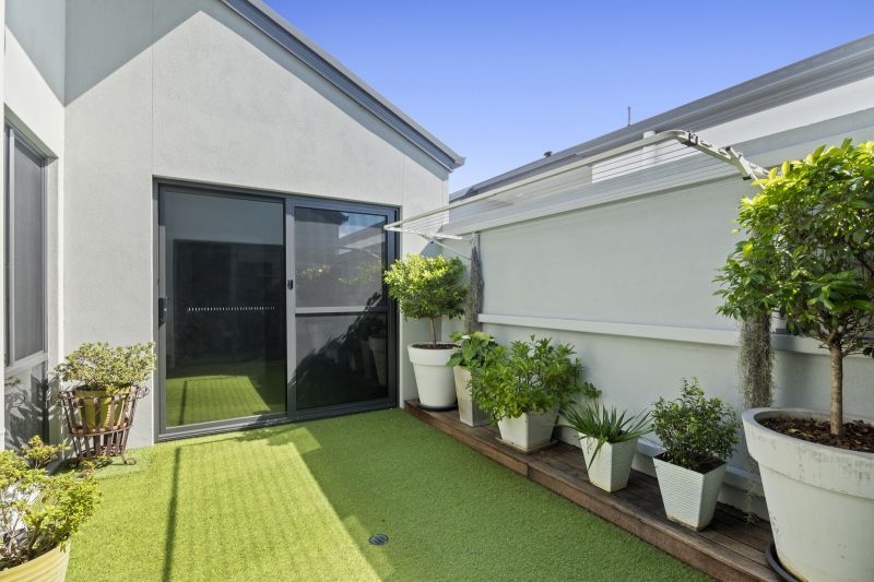 Site 156 - Established Lillydale G1