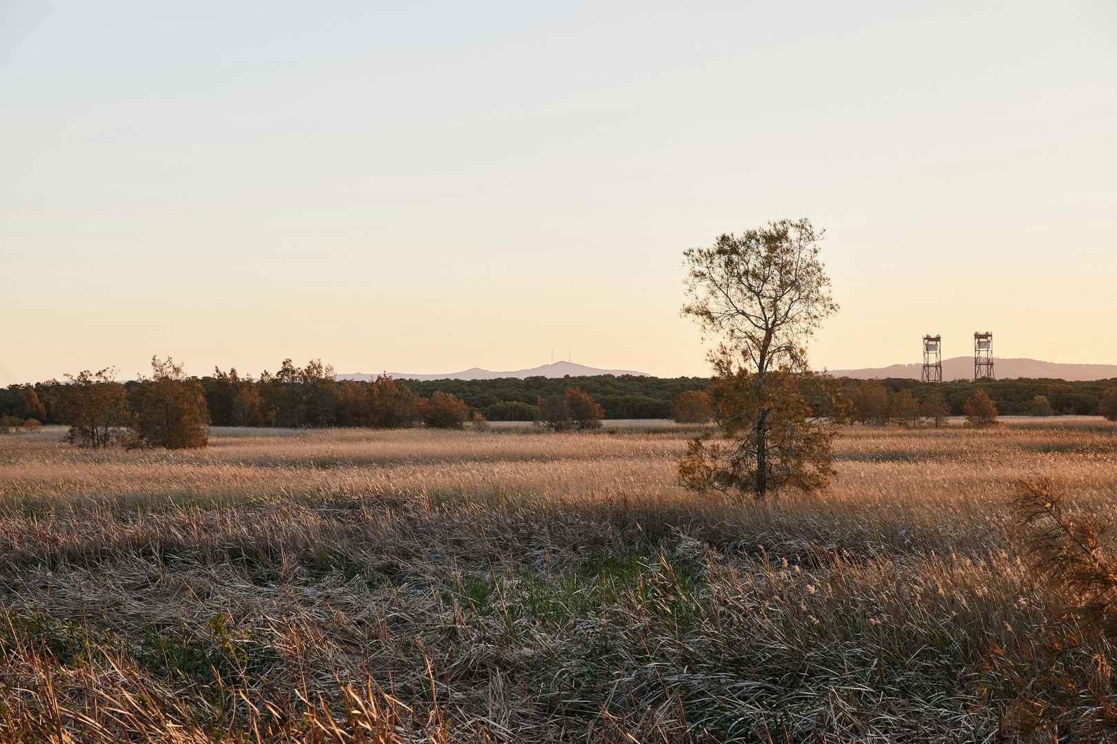 Move-in ready homes from $385,000