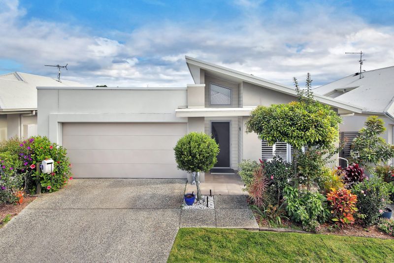 Established Belleview 3