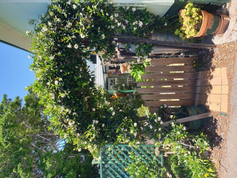 Jettys by the Lake site 375 - UNDER CONTRACT