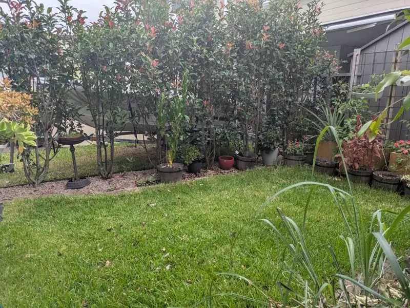 Gorgeous high-set home