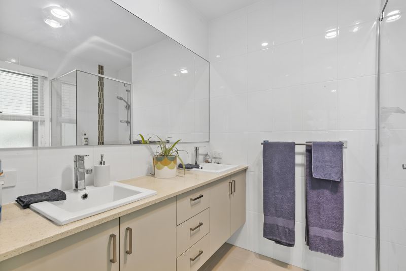 Stunning Rainforest Backdrop