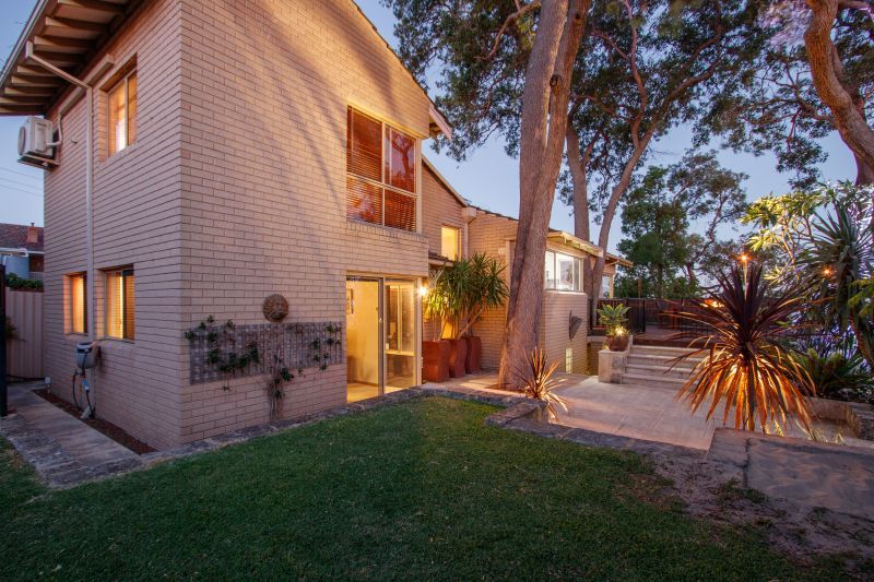 Tree Change In The City