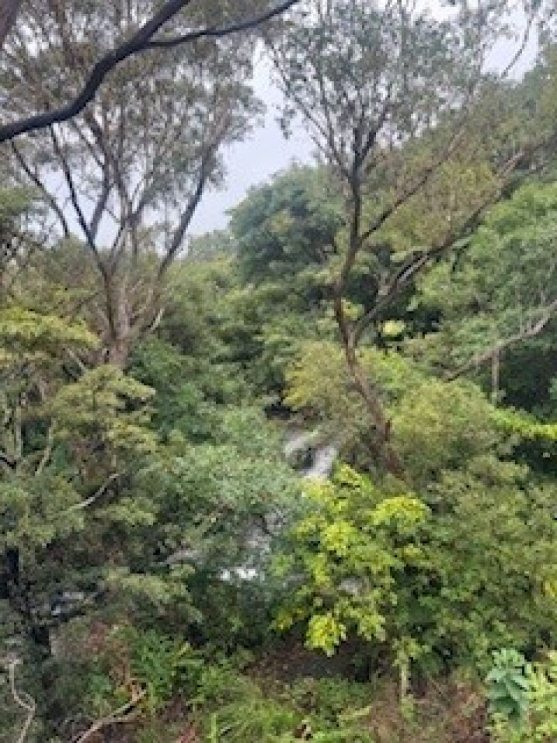 Ready to move in! Spacious apartment with Balcony, Lift Access & Serene Views