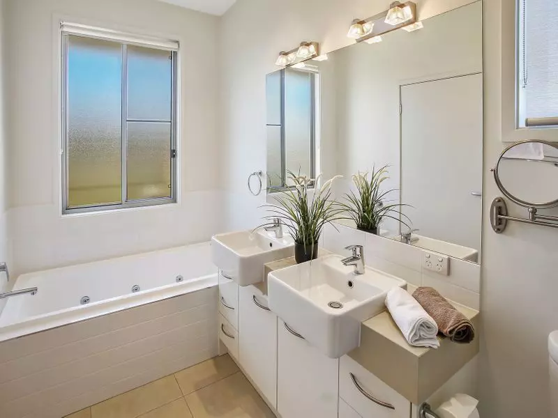 Waterfront Bird Watching