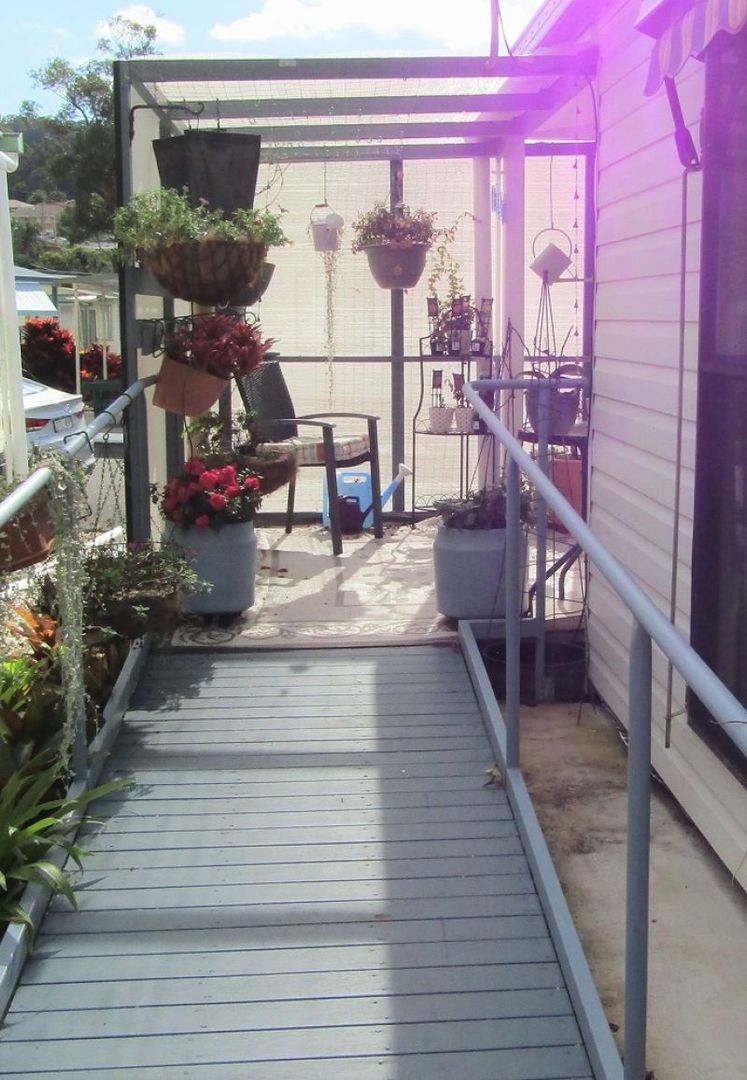 Lime Tree Village - Site 15