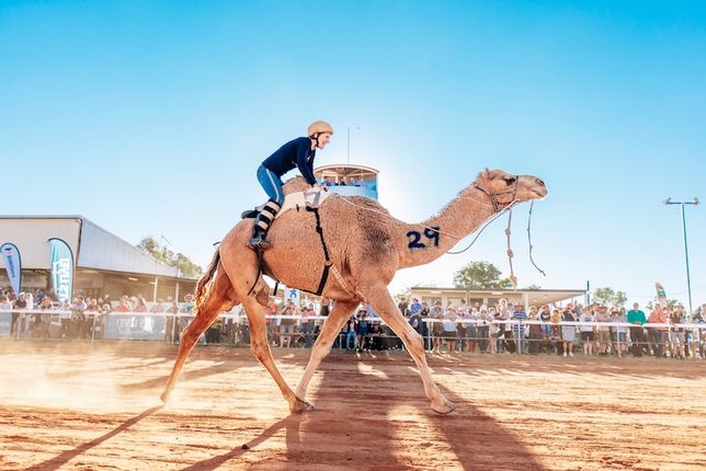 CAMELS, COLOUR, AND A DESERT IN BLOOM: QUEENSLAND’S NEW OUTBACK ADVENTURE IS CAMEL-TASTIC!