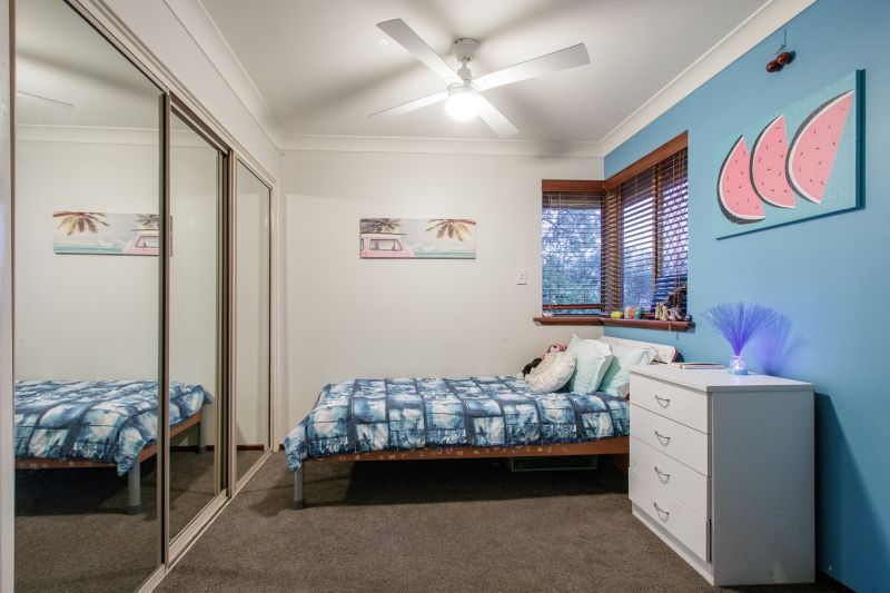 Tree Change In The City