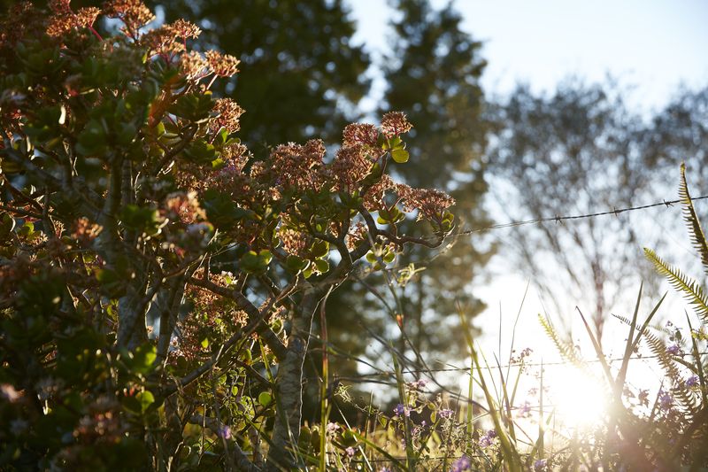 Lifestyle at the Lake – a perfect place to begin the next chapter of your life. 