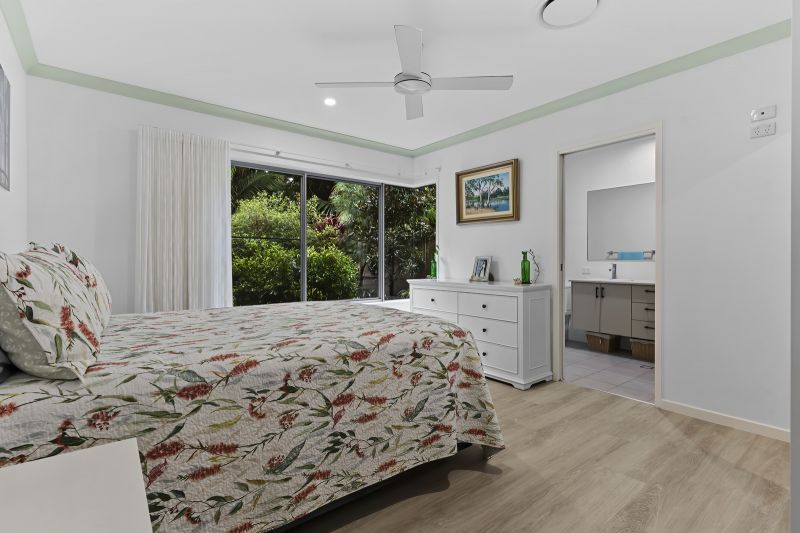 Stunning Rainforest Outlook