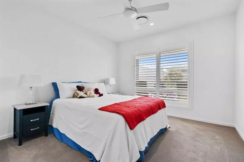 Site 217 - Established Sequoia