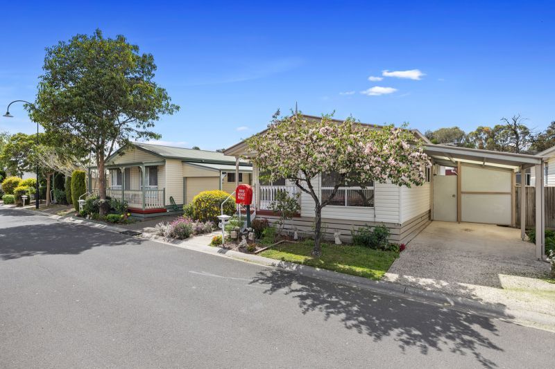 Seize the Opportunity!