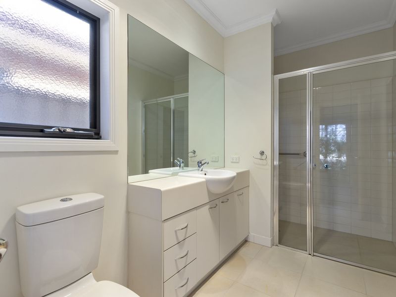 Freshly Updated with Study Flexibility