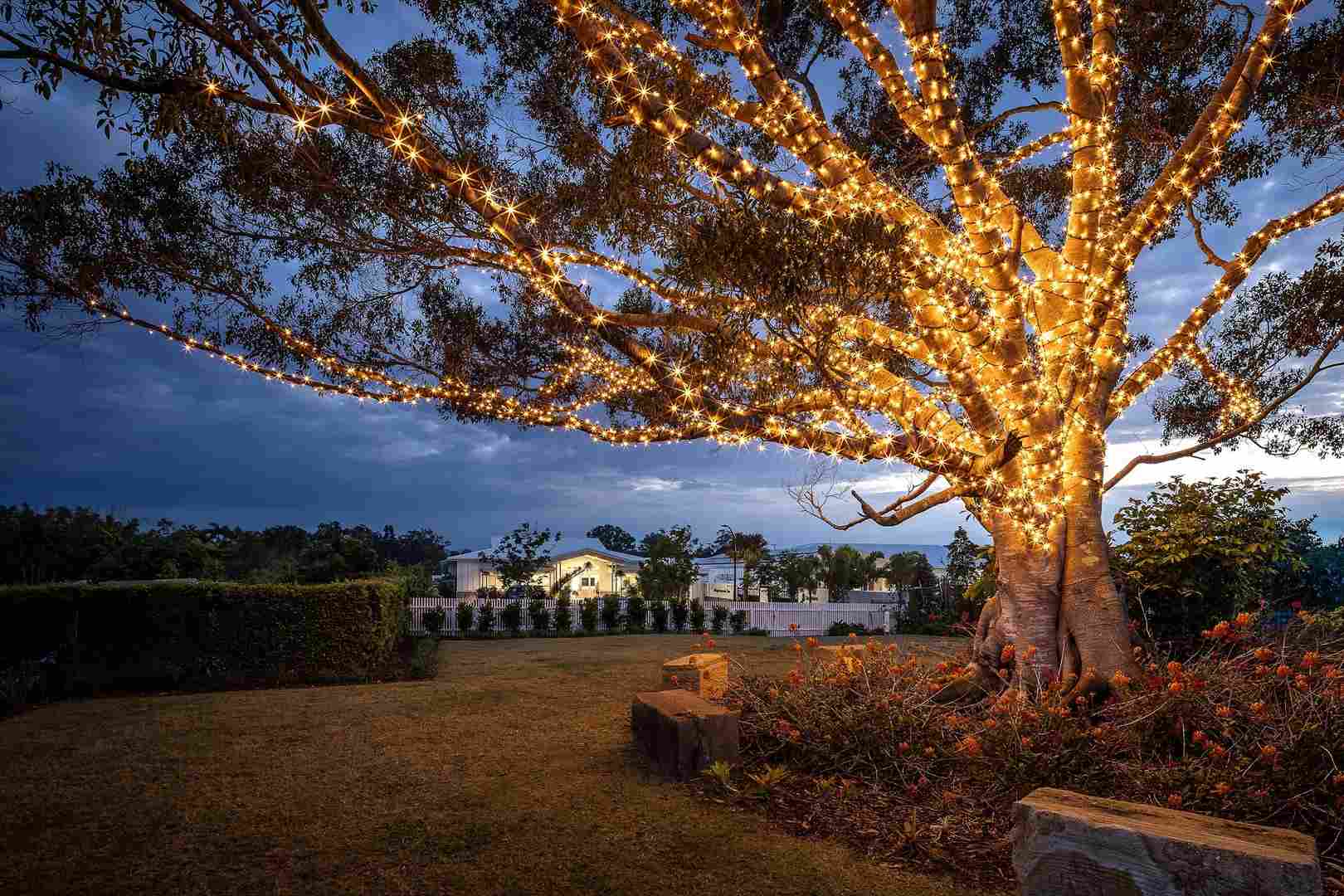 Halcyon Promenade The Newstead G6 | Bright, Breezy, and Low-Maintenance Living