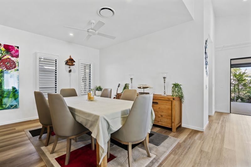 Site 217 - Established Sequoia