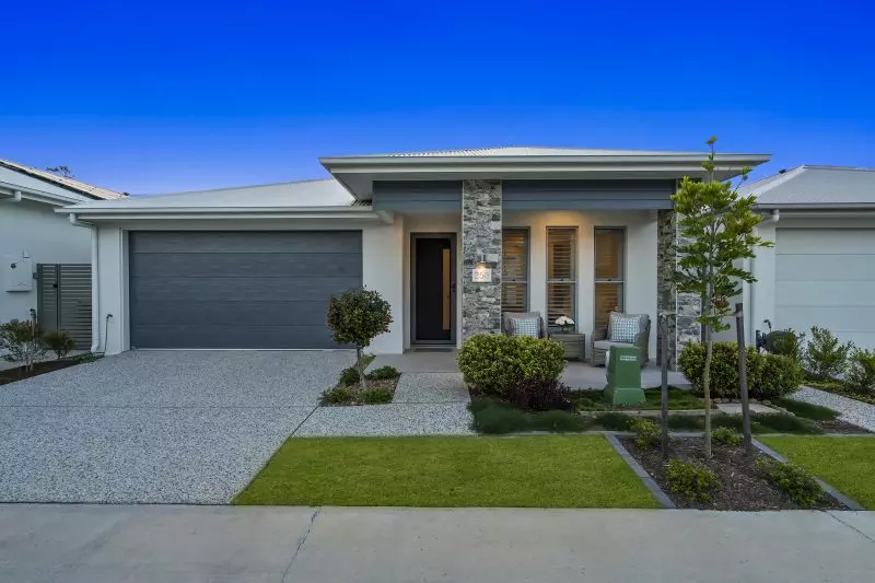 Site 258 - Established Kondalilla