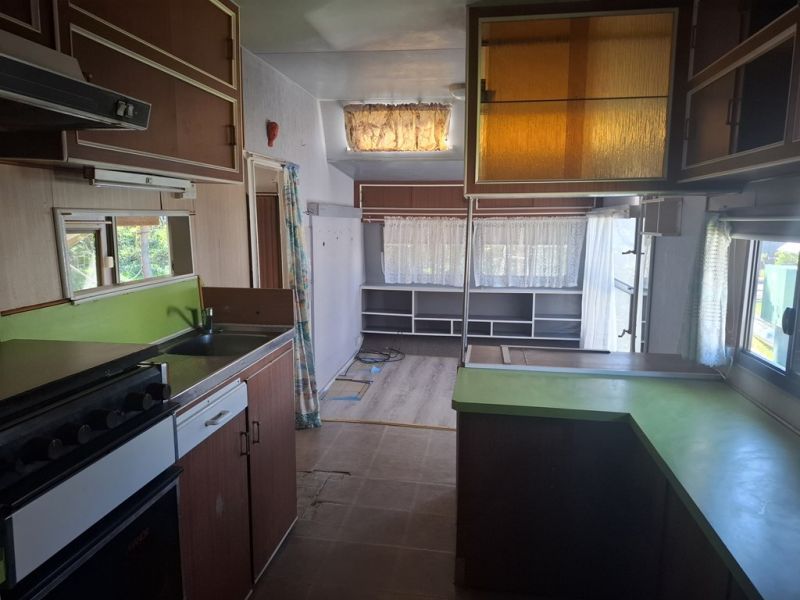 Renovators Dream