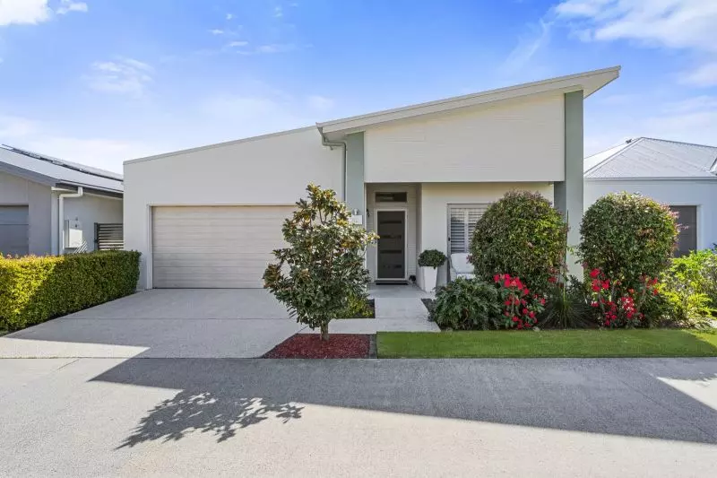 Site 82 - Established Heron