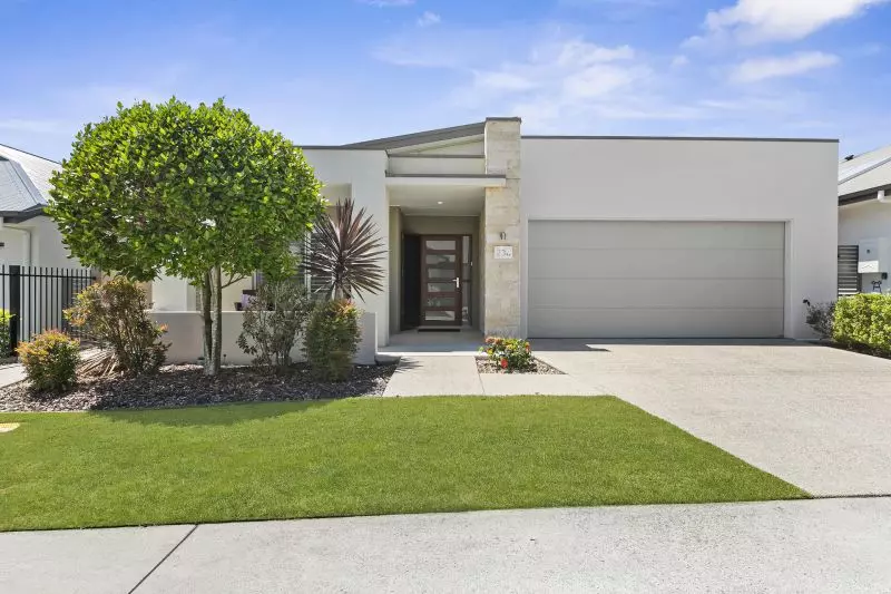 Site 230 - Established Peregrine